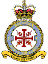 113_Squadron_crest