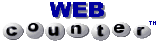 Web_counter