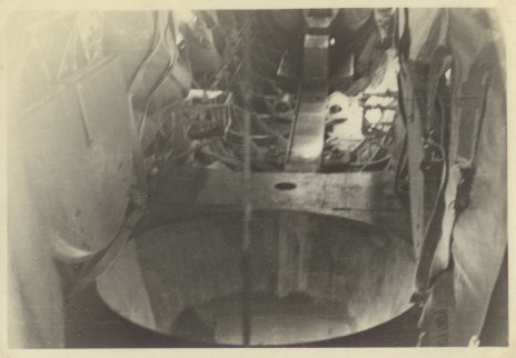 Wellington interior facing the tail