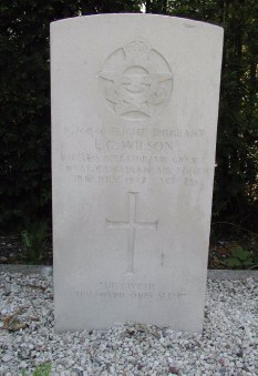 Wilson_Ernest_G_grave